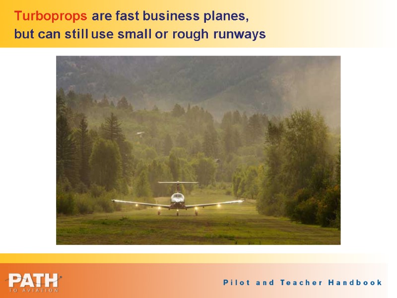 Turboprops are fast business planes,  but can still use small or rough runways